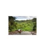 LifeStraw Personal Water Filter for Hiking, Camping, Travel, and Emergency Preparedness - Image 4