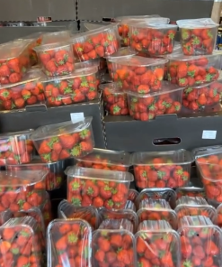 Fresh Strawberries - 260g per Punnet, 3 Punnets for Only £1 (780g Total)